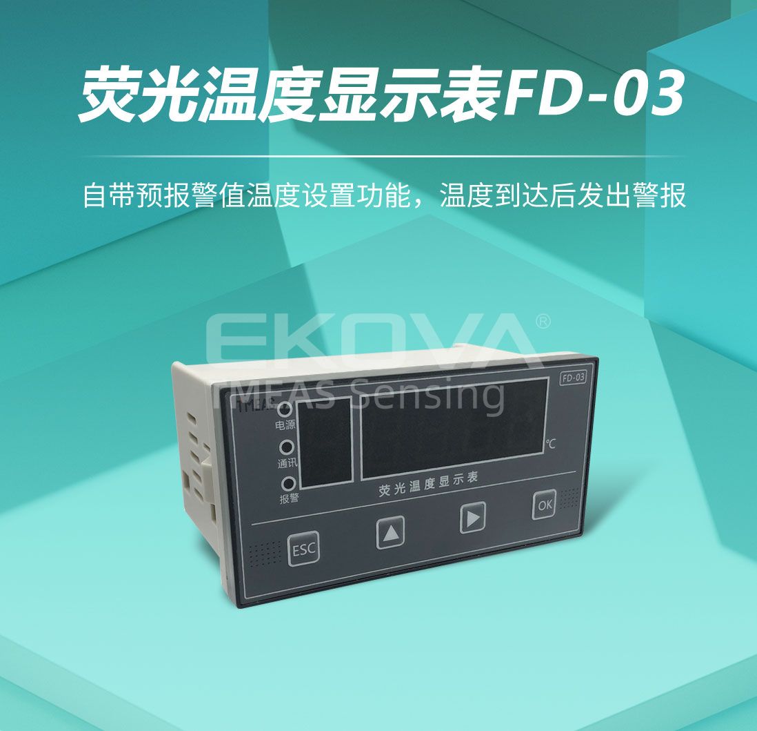 荧光温度显示表FD-03