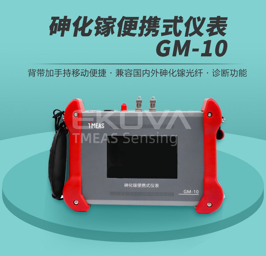 砷化镓便携式仪表GM-10